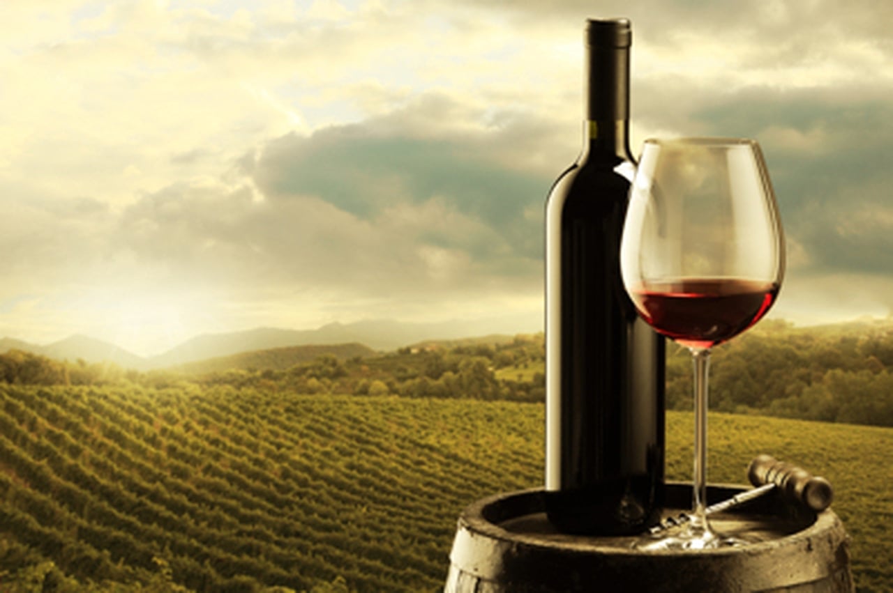 Investir dans le vin : comment réussir ?